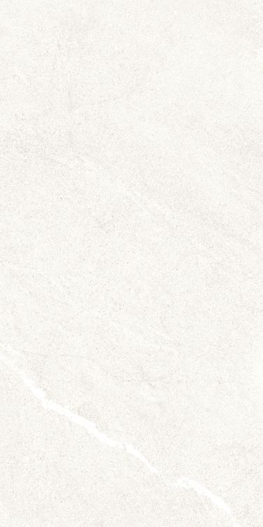 Dhara White Matte 12 x 24